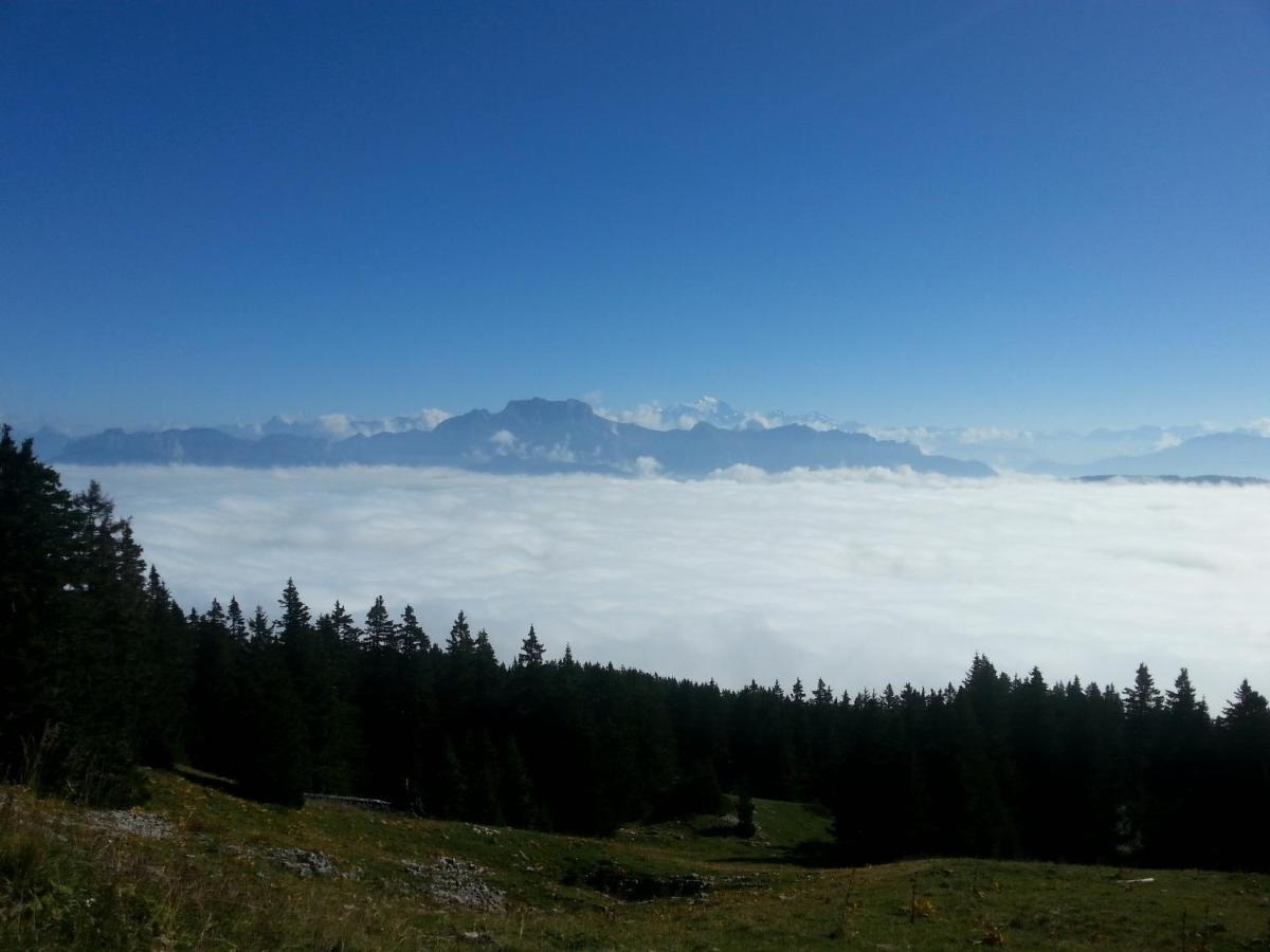 Le Chalet d'Eléonore Les Saisies Esterno foto